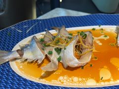 -德尚煌·顺德菜(誉山悠方天地店)