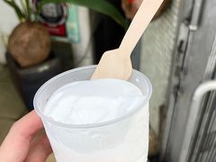 -洪馨椰子