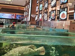 -聚福宝合苑食府(南头镇店)