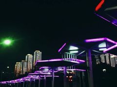 -武汉两江游览·夜游长江(汉口粤汉码头)