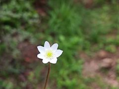 -昆明市金殿名胜区