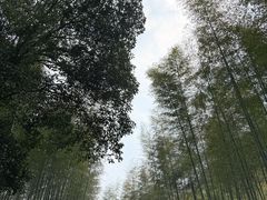 -黄公望隐居地