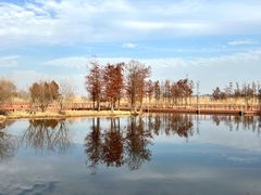 -贡湖湾湿地公园