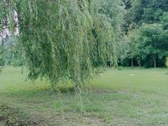 -贵阳市花溪国家城市湿地公园