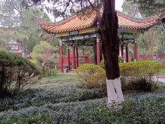 -南岳衡山风景名胜区-南岳大庙