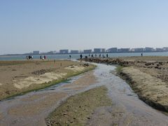 -集美鳌园景区