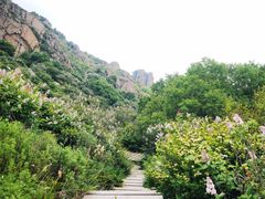 -白草畔自然风景区