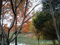 -尚贤河湿地