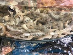 -渔中舟海鲜大排档(普陀沈家门店)