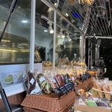 来啦我的面包脑袋！