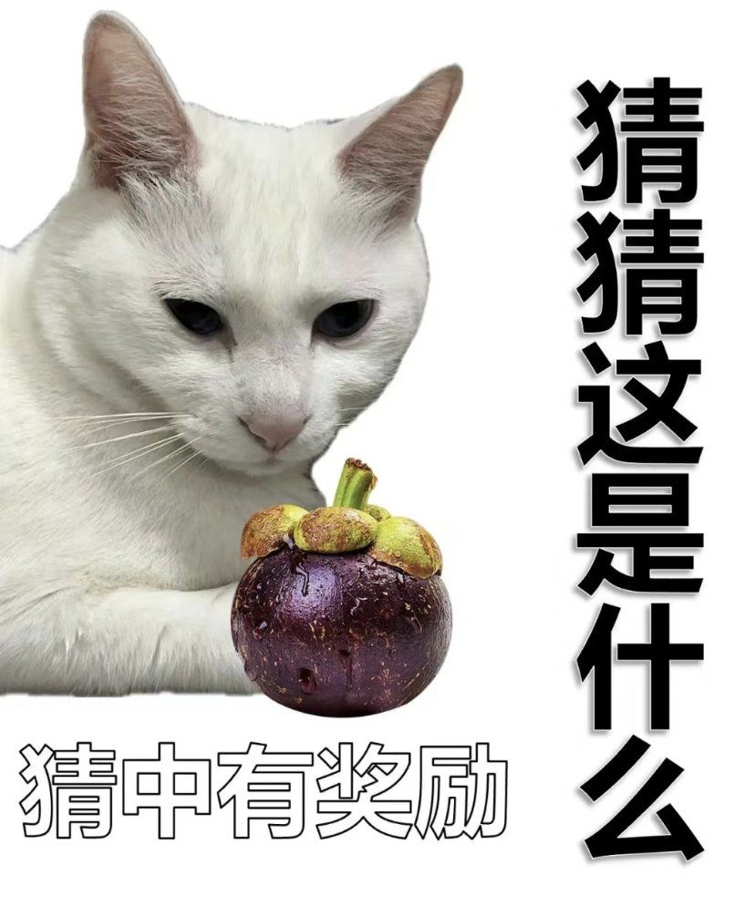谁能拒绝傻憨憨的小猫咪 #万物皆有灵性请善待每一个生命 #搞笑萌宠