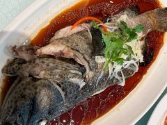 -双井轩(双井店)