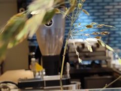 -Onirii Coffee(长乐路店)