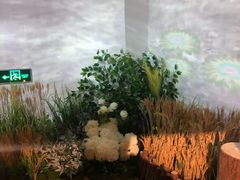 -印象莫奈时光映迹艺术展