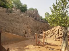 -石家庄市动物园