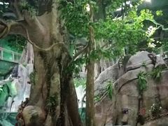 -福州罗源湾海洋世界旅游区