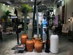 -好看加白色房子