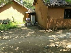 -微山湖红荷湿地景区