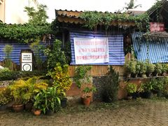 -Jungle Kitchen
