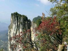 -蝶舞清江·恩施云顶景区(黄鹤峰林)