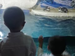 -左海海底世界