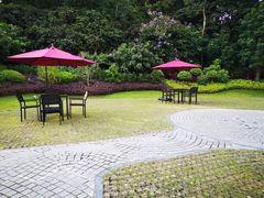 -南宁荔园维景国际酒店·荔园中餐厅