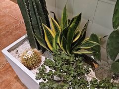 -西安国际创新人才交流中心·地中海餐厅·潮汕牛肉火锅·欧陆花园烧烤