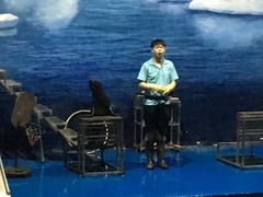 -苏州海洋馆