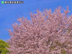 -马鞍山市博物馆