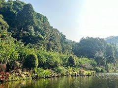 -深圳仙湖植物园