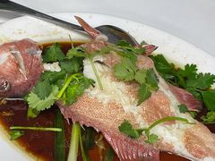 东星斑-新陶陶酒家