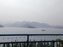 -望湖烤鱼