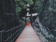 -牛背梁国家森林公园
