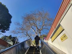 -黄记煌三汁焖锅(新世纪广场店)