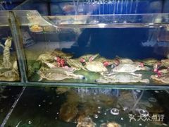 -小船渔村•大连菜•大连焖鱼(明泽街店)