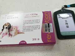 -申普宠物医院·心脏介入·心血管微创(总院)