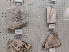 -辽宁古生物博物馆