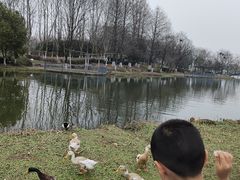 -白塘生态植物园