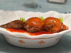 -丁老爷子苏香圆