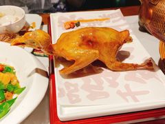 -大鸽饭(岗顶店)