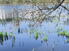 -西北湖绿化广场