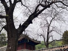 -红螺寺