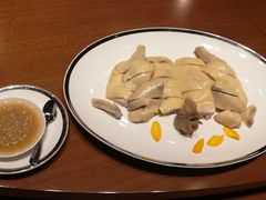 消失的名鸡-广州富力君悦大酒店空中花园