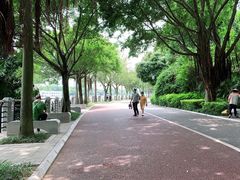 -南宁南湖公园