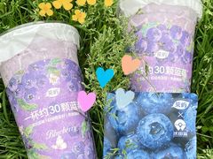 -茶屿水果茶(太古里店)