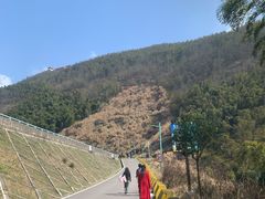 -长沙黑麋峰国家森林公园