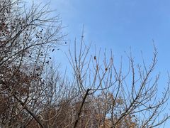 -长安大学(北校区)