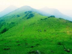 -大姆山草场