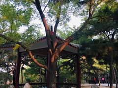 -长辛店二七公园