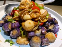 紫山茄拌扇贝-味莊·青岛菜(石老人店)